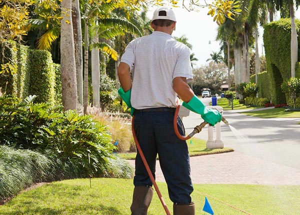 About Rich Creek VA Pest Control